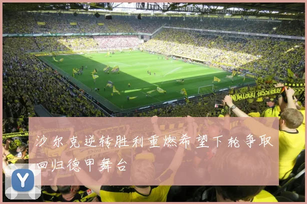 沙尔克逆转胜利重燃希望下轮争取回归德甲舞台