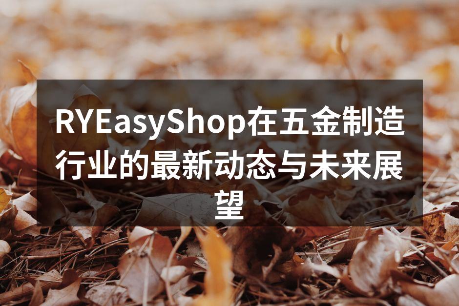 RYEasyShop新型智能锁具展示